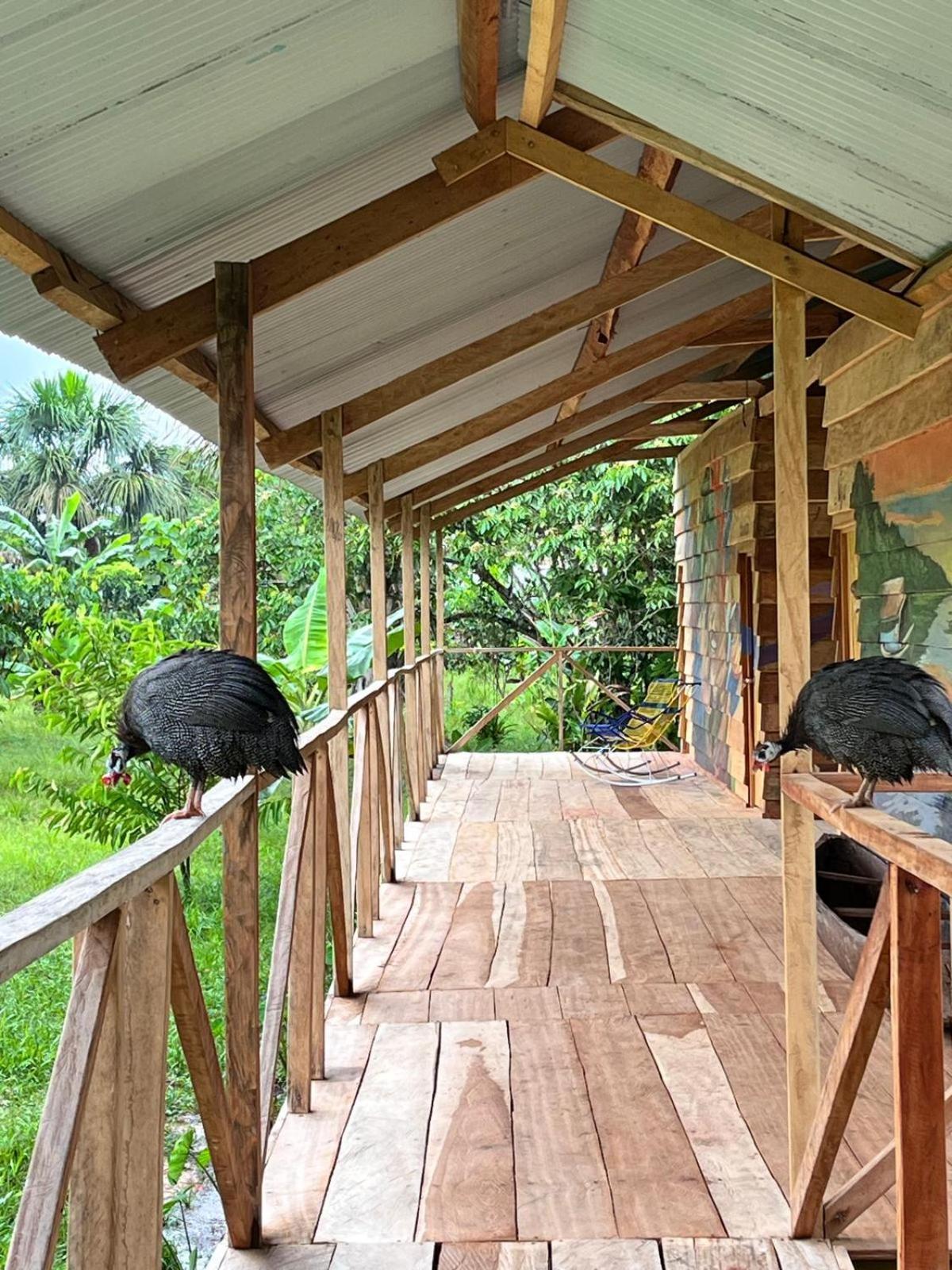 Purachata Ecolodge Iquitos Exterior foto